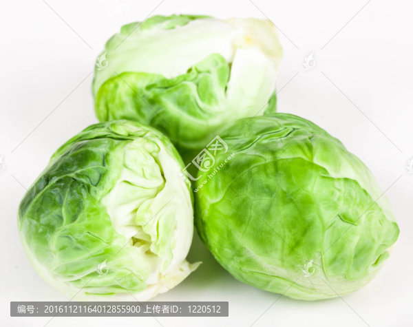 布魯塞爾豆芽