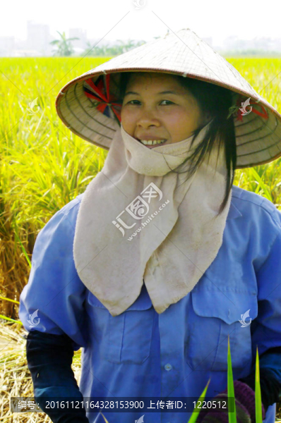 一個(gè)女農(nóng)民的畫(huà)像