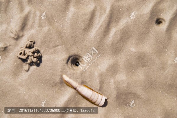 海灘上的St.,Peter,Ording