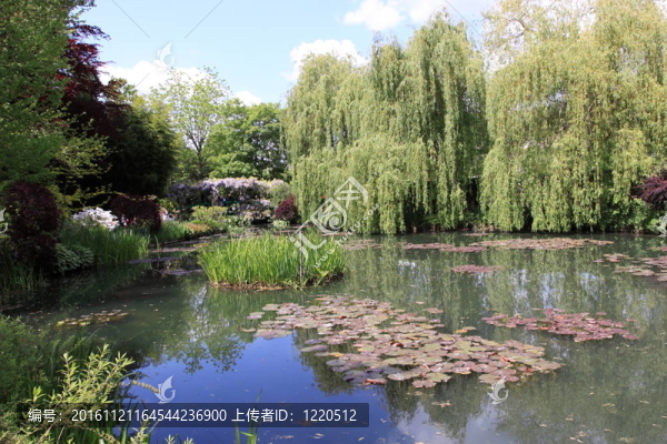 花園里的河