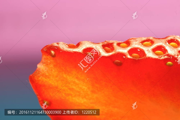 草莓特寫