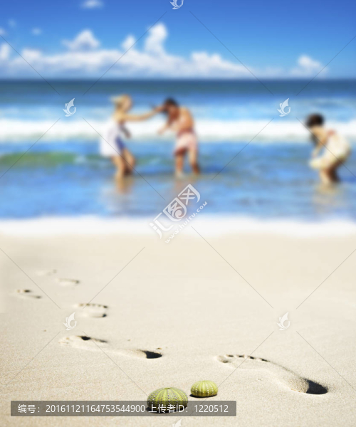 海灘上的海膽殼與三名年輕女性背景