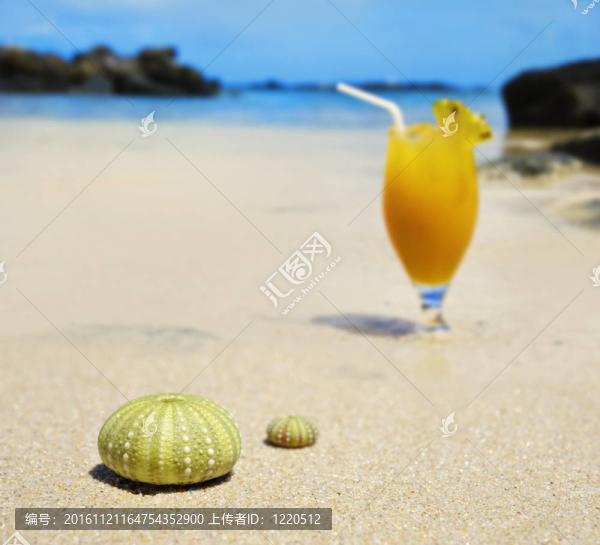 海灘上的海膽殼與新鮮水果雞尾酒的背景