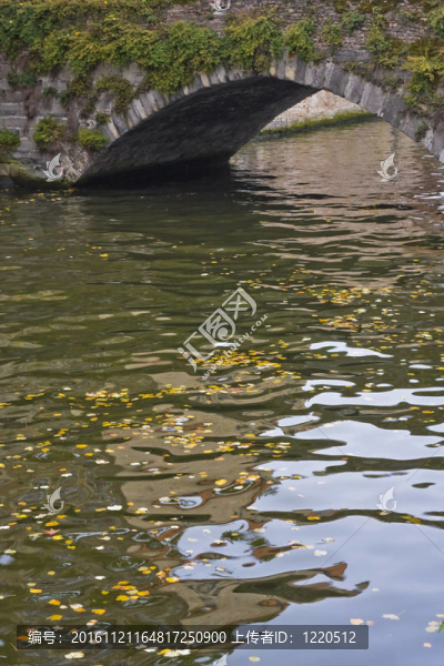 布魯日運(yùn)河橋