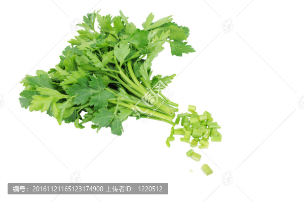 白色背景上切碎的歐芹