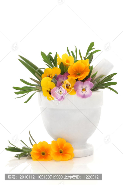 花精