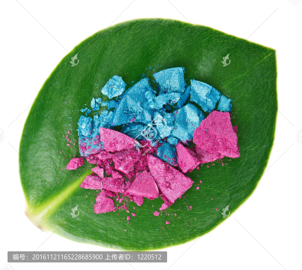 在綠色的葉子破碎的多色眼影的；白色隔離