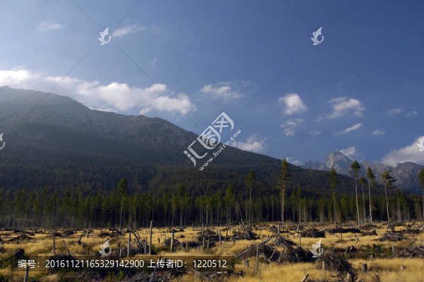 山峰