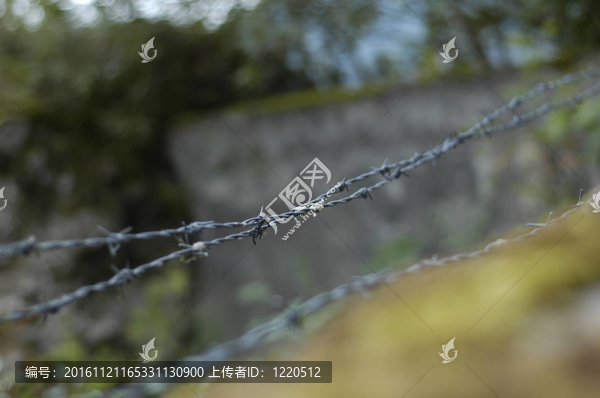 鐵絲網(wǎng)