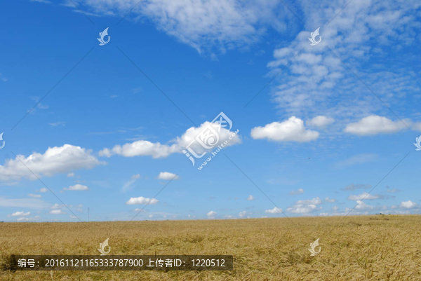 藍(lán)天下的風(fēng)景