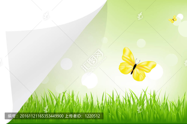 景觀與紙
