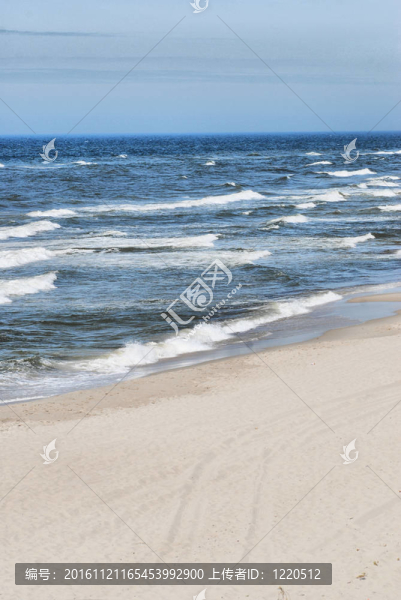 海的彼岸
