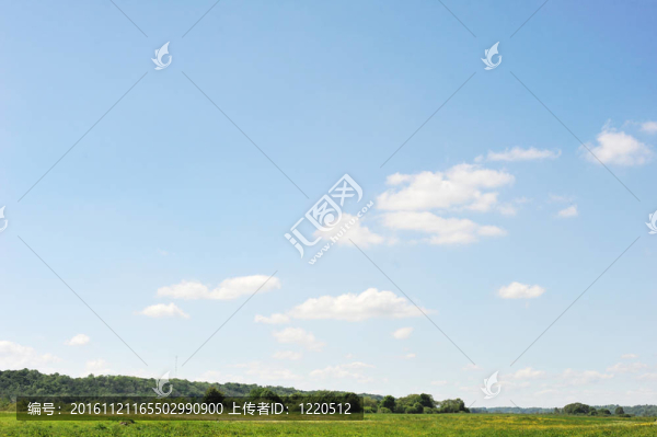 春季草地和樹木景觀