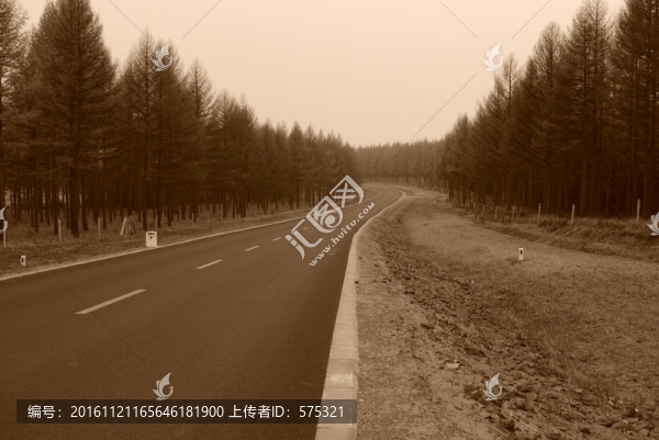 森林公路