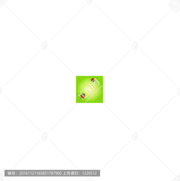 春天的瓢蟲