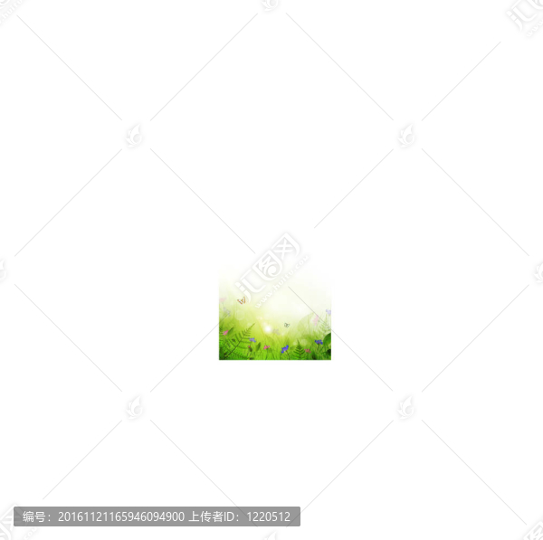 夏天的草地