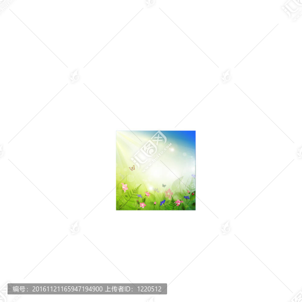 夏天的草地