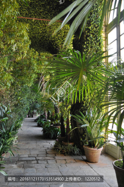 植物園