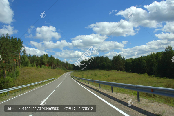 森林之路