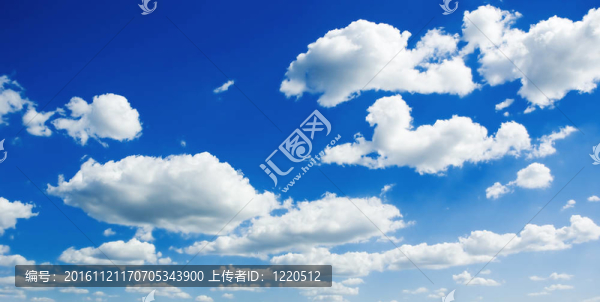夏天的風(fēng)景