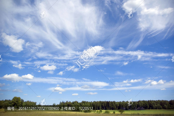 夏天的風(fēng)景