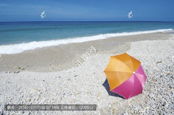陽傘