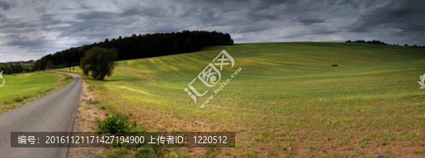 綠色的田野