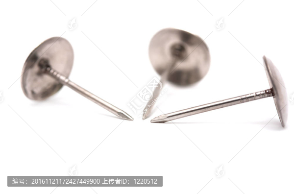 三指甲。宏