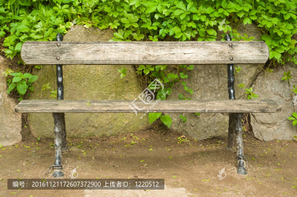 公園的長(zhǎng)椅上