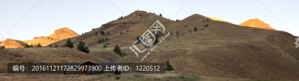 沙漠農(nóng)田全景日出