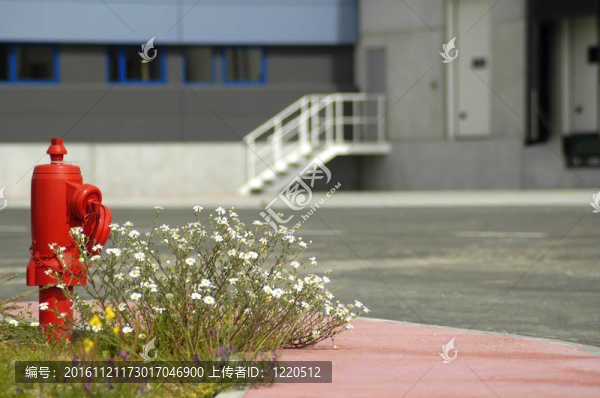 消防栓