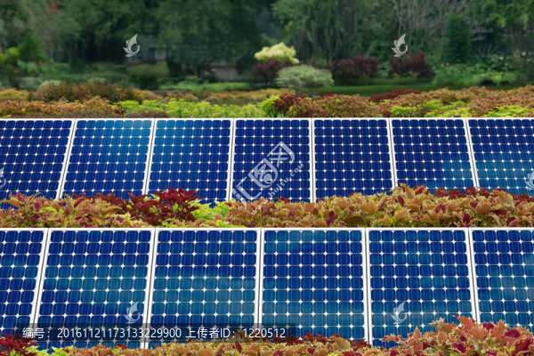 太陽能電池板花園的概念