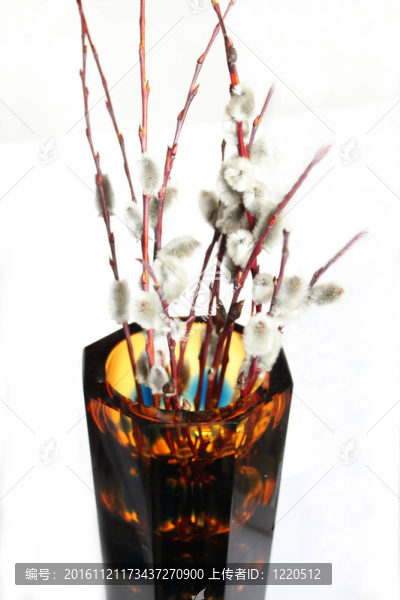 玻璃花瓶里的柳樹