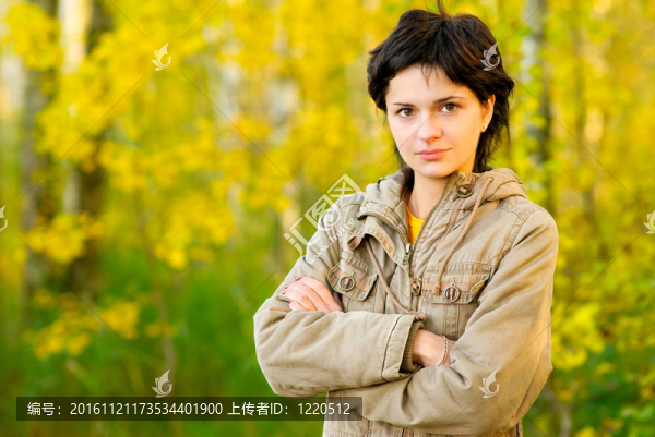 在秋天的樹林里