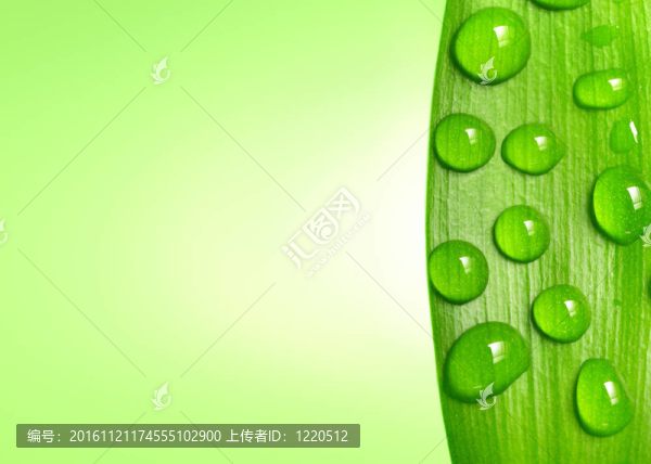 滴