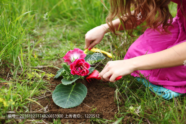 女孩成長的花朵