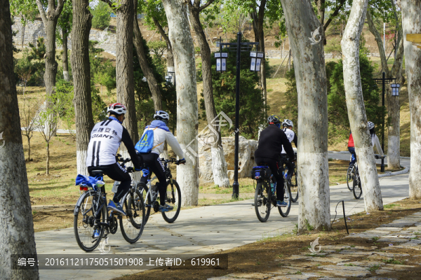 自行車隊穿越公園樹林