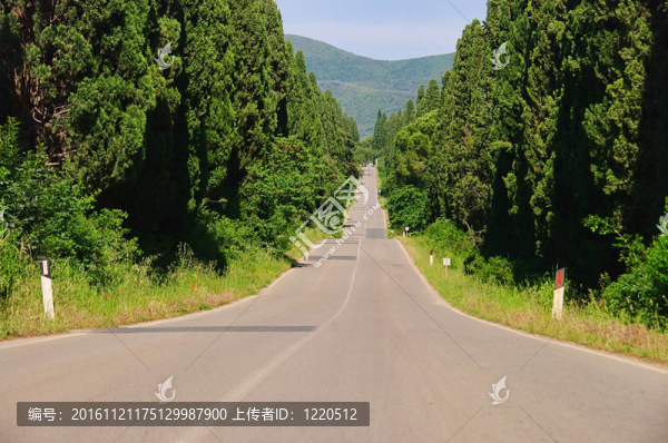 柏街最長(zhǎng)的來(lái)自意大利02