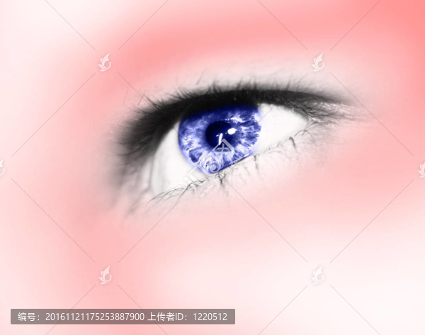 人類的眼睛