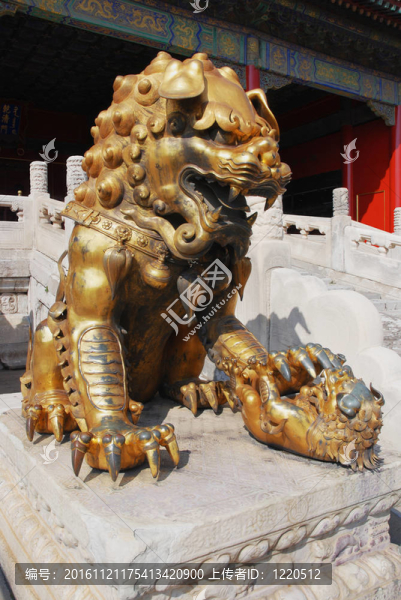 中國紫禁城中的獅子和獅子幼崽