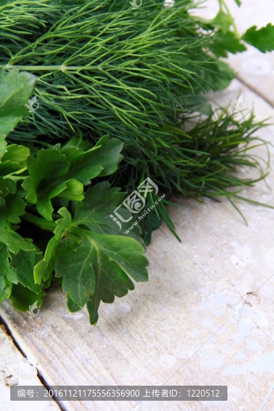 新鮮食品的蒔蘿和歐芹