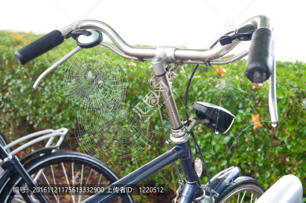自行車蜘蛛網(wǎng)