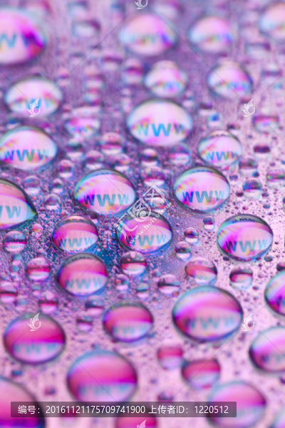 WWW的水珠