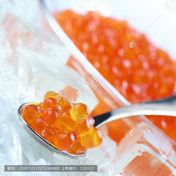 在冰的魚子醬鮭魚