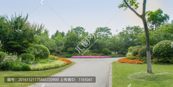 公園,綠地,草坪