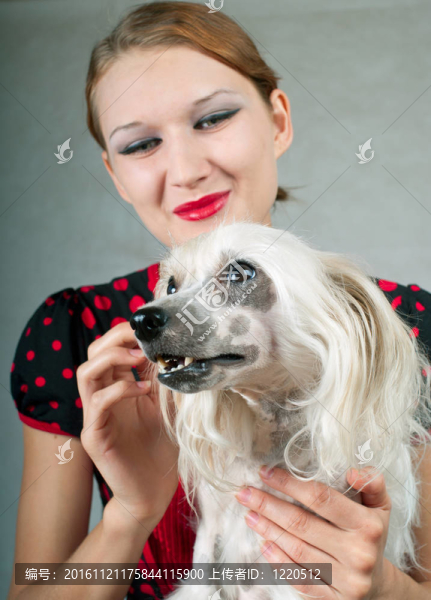 女孩和中國(guó)冠毛犬
