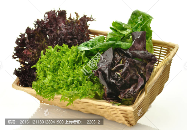 蔬菜色拉