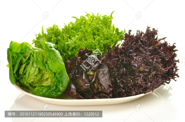 蔬菜色拉