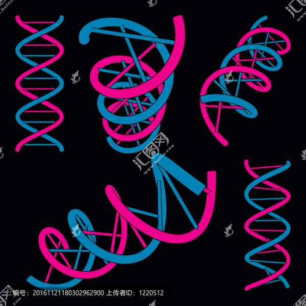 DNA符號(hào)集