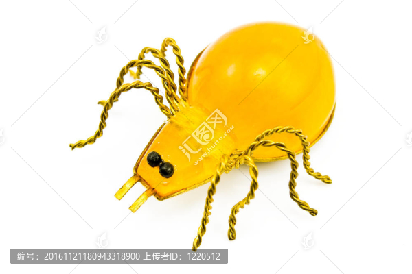 琥珀色的蜘蛛